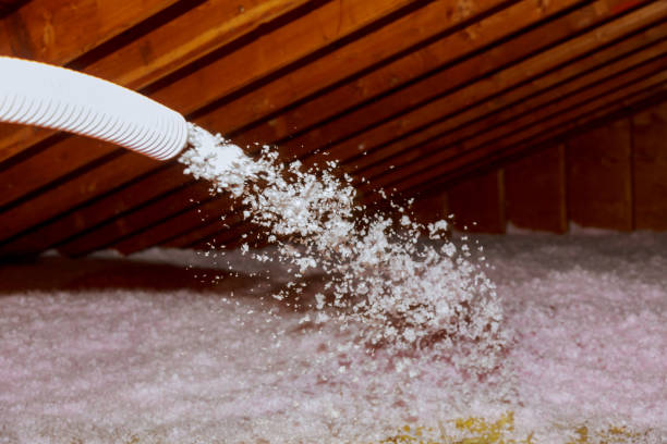 Best Garage Insulation Installation  in Haubstadt, IN