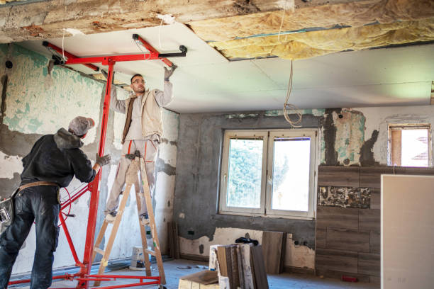 Best Insulation Contractors for Homes  in Haubstadt, IN