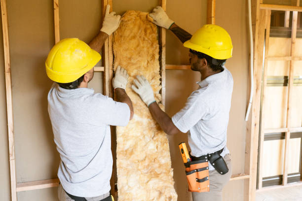Best Energy-efficient Insulation  in Haubstadt, IN