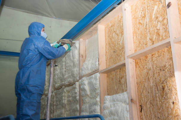 Best Insulation Repair Services  in Haubstadt, IN